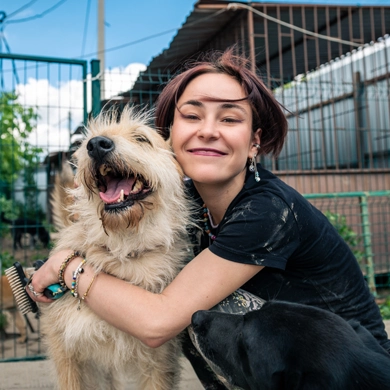 Les refuges, une seconde chance aux animaux abandonnés
